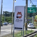 관포국수 이미지