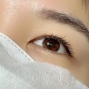 담연네일 | 원주 단계동 속눈썹 잘하는곳 " 도담뷰티 원주단계점 " 노글루 속눈썹펌 후기