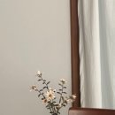 히유 스테이 이미지