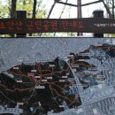 초안산 캠핑장 | 🌳 [2025 서울 캠핑 후기]초안산캠핑장에서 힐링