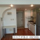 라이즈빌 이미지