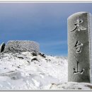 태백산약국 Daum카페