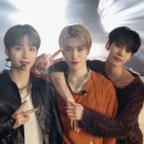 개맛도리 이미지