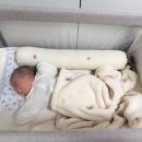 (주)솜바이오 | 마이리틀데이지 아기 수면용품 바디필로우 블랭킷 담요 이불 내돈내산 솔직 후기