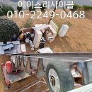 보성가전중고 이미지