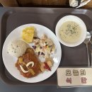 2025년 6월 19일 (목) 경로무료급식 이미지