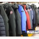 톰앤코 이미지