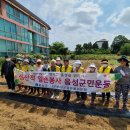 텃밭2 이미지