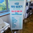 티라노식당 이미지