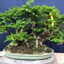 소사농원 이미지