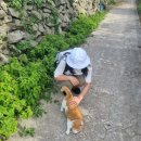 제주 가파도 1박2일 우정여행/가파도하우스J민박/올레길 10-1코스/전망대식당 후기