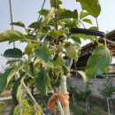 별샘농장 이미지