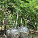 이길래 생성과응집 이미지