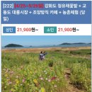 5월30일[당일]강화교동도 나들길 난정저수지,고인돌공원 대룡시장,조양방직카페,농촌체험(쑥개떡만들기) 이미지