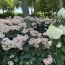 라잇나우 이미지