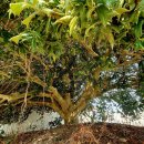 상하면 농업인상담소 이미지