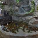 황제잠수함 | 황제잠수함 부산 서면 회 추천