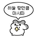 노가리슈퍼 압구정로데오점 이미지