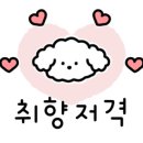 경주 오로라 키즈풀빌라 이미지
