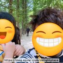 아이랑공방 자조모임 후기. 에코 탐험대. 생태논 탐사