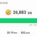 더원여행