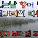 오늘은향어 이미지