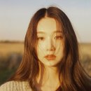 케이시에이전시