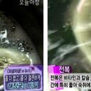 잠원동031 이미지
