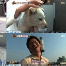 유인농장 이미지