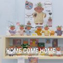춘천 소품샵 홈컴홈 귀여운 인테리어소품 진짜많음 HOME COME HOME