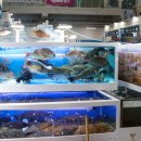 믿음수산 이미지