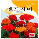 좋은씨앗 이미지