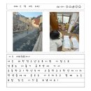 성분도비둘기공부방 이미지