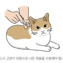 (주)바른약품 이미지