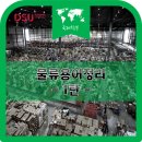 동서물류 네이버블로그