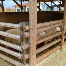 삼천목장 이미지