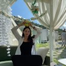 그린그라스 이미지