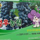 정우농원 이미지