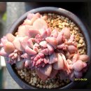 제눈에 안경 이미지