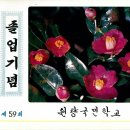 욕지초등학교 이미지