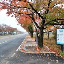 11/3 계룡산 장군봉