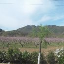 평곡 Daum카페