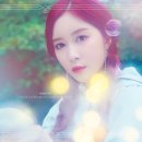 다영서비스
