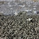 해밀유치원(해밀어린이집) 이미지