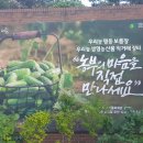 명동장 이미지