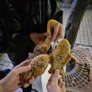 웍스코