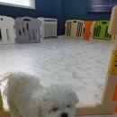 킹스유치원 이미지