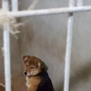 소답동225 이미지