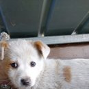 왕생당한의원 이미지