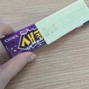 찰나를 살아가자 찰나를 사랑하자